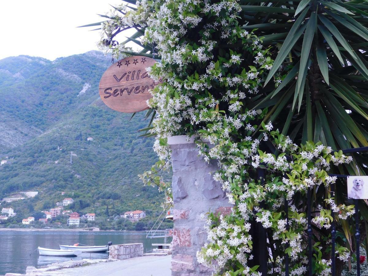 Apartments Villa Serventi Tivat Buitenkant foto